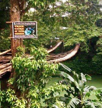 Bamboo Hanging Bridge