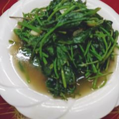 高山野菜馆 User Photo