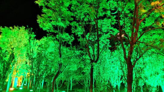 大连鼎山公园，夜色下的公园景色迷人，风景优美，很多市民趁着夜