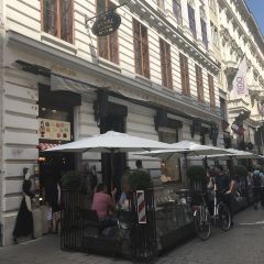 Demel張用戶圖片