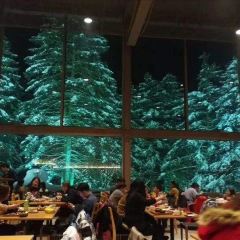 Nipulisenlin Restaurant User Photo