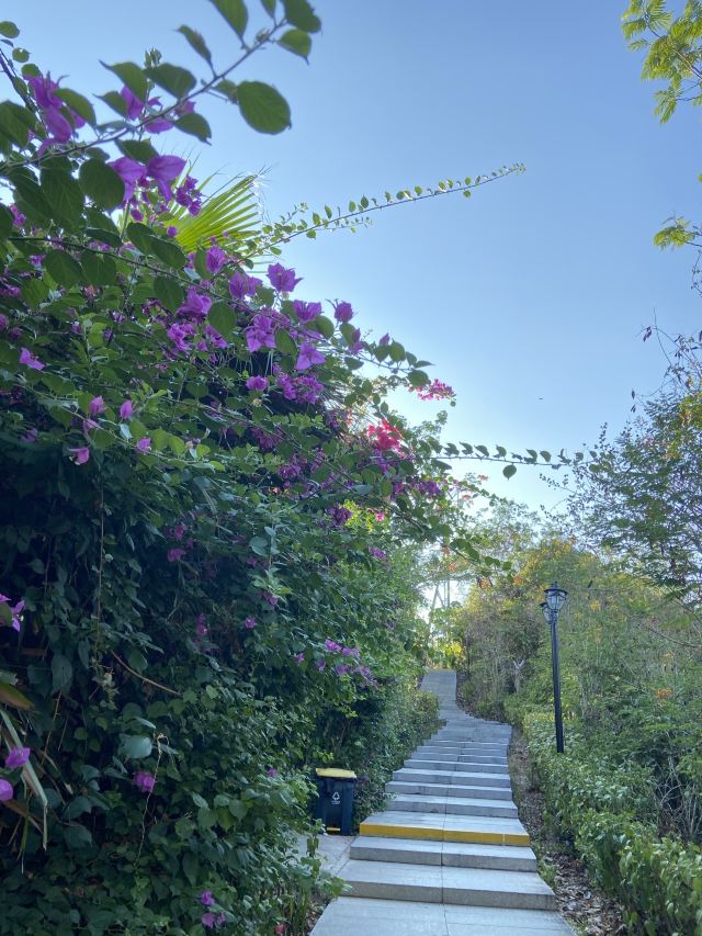 Linchunling Forest Park