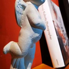 鹿森书店(上下杭店) User Photo