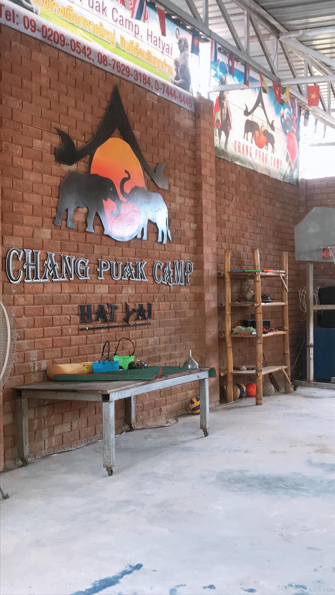 Chang Puak Elephant Camp Travel Guidebook Must Visit Attractions In Hat Yai Chang Puak Elephant Camp Nearby Recommendation Trip Com