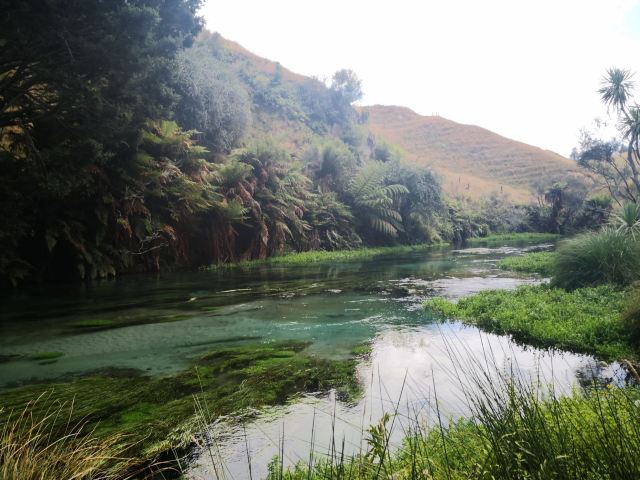 Blue Springs