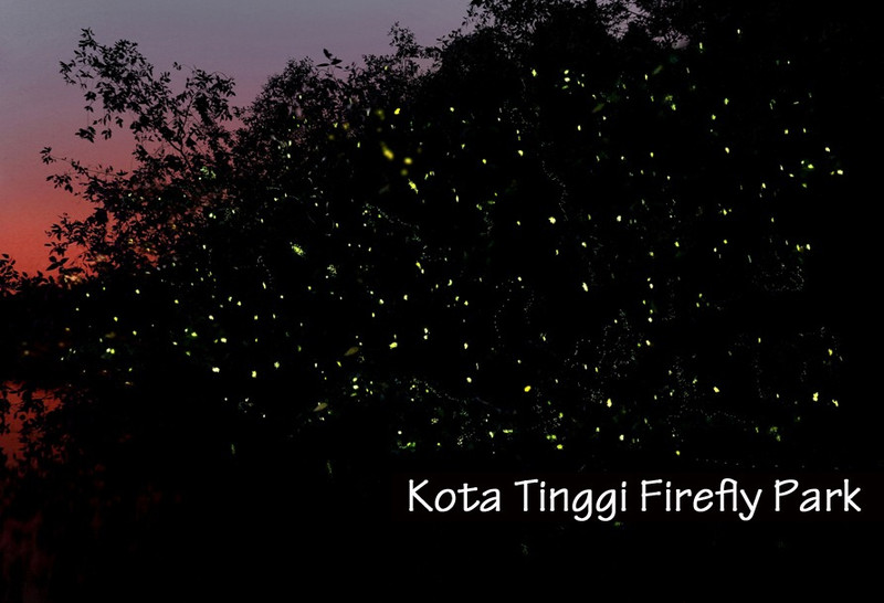 Taman Kelip-Kelip Kota Tinggi