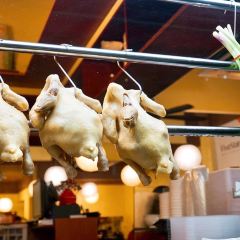 Five Star Kampung Chicken Rice & Kitchen User Photo