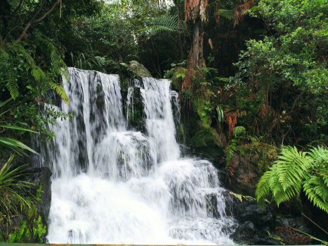 Rainbow Springs Nature Park