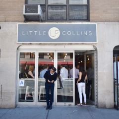 Little Collins User Photo