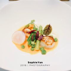 MAISON PAPILLON User Photo