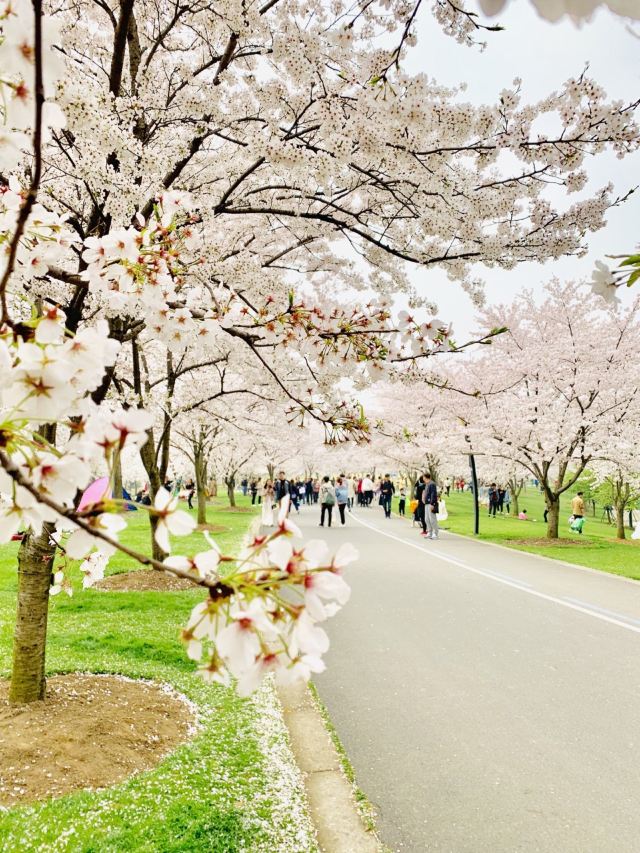 상하이 천산 식물원(상해 진산식물원)