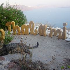 Thalami User Photo