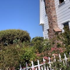 Trillium Cafe & Inn User Photo