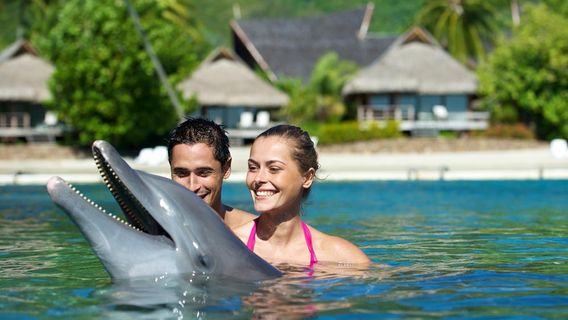 Moorea Dolphin Center