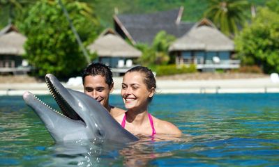 Moorea Dolphin Center