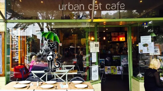 Urban Cat Cafe