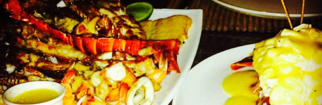 Jellyfish Restaurant