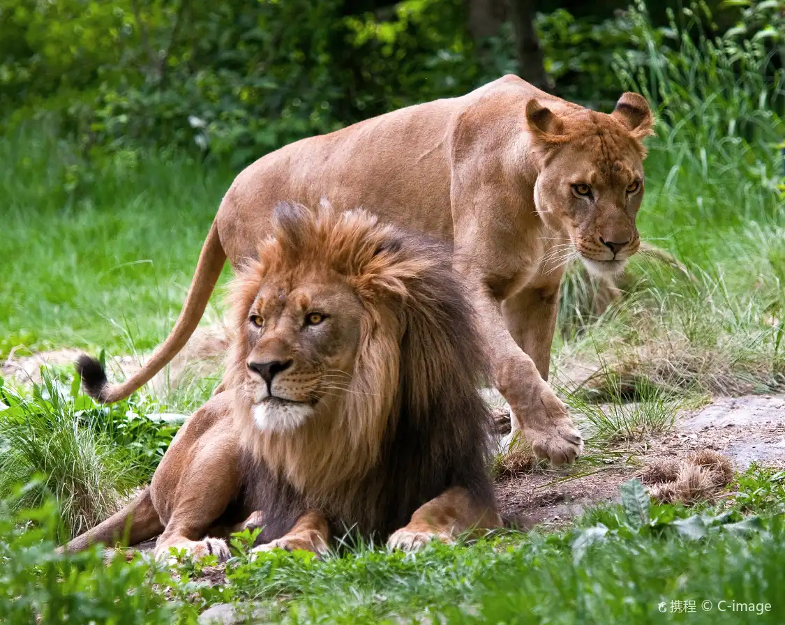 브롱크스 동물원 주변 호텔