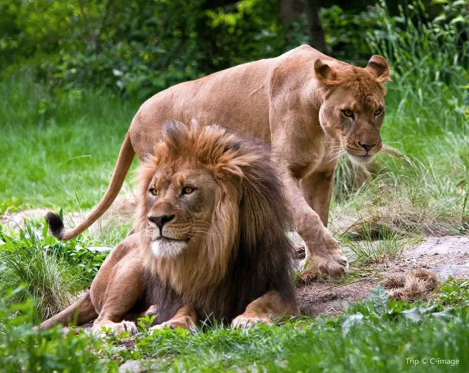3_Bronx Zoo