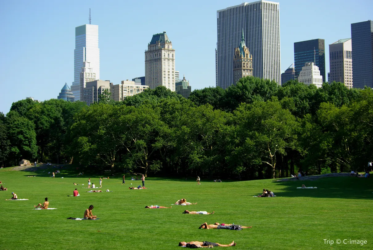 4_Sheep Meadow