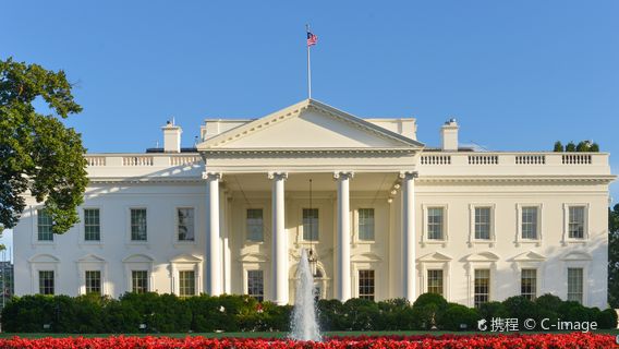 Washington D.C.Tours