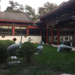 1949 - Duck de Chine User Photo