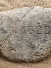 Plymouth Rock