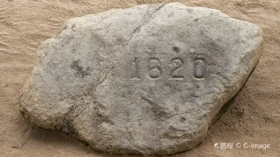 Plymouth Rock