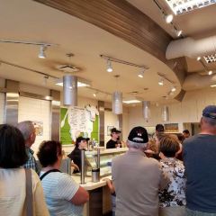 Cows Icecream User Photo