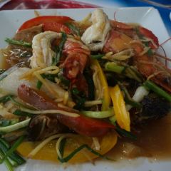 Sabienglae lamai User Photo