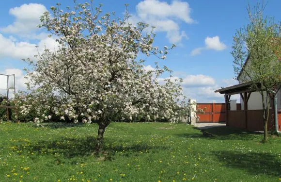 奧特維克膳食公寓酒店