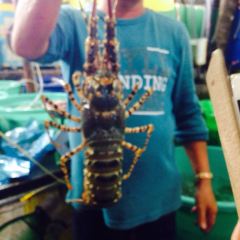 Nha Trang Seafoods 여행 사진