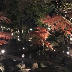 Ganko Takasegawa Nijo-en User Photo