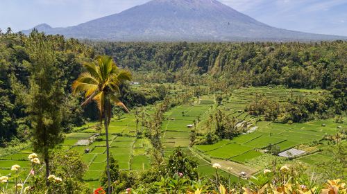 Mount Agung