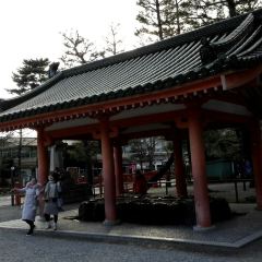 Kyoudon Kisoba Okakita User Photo