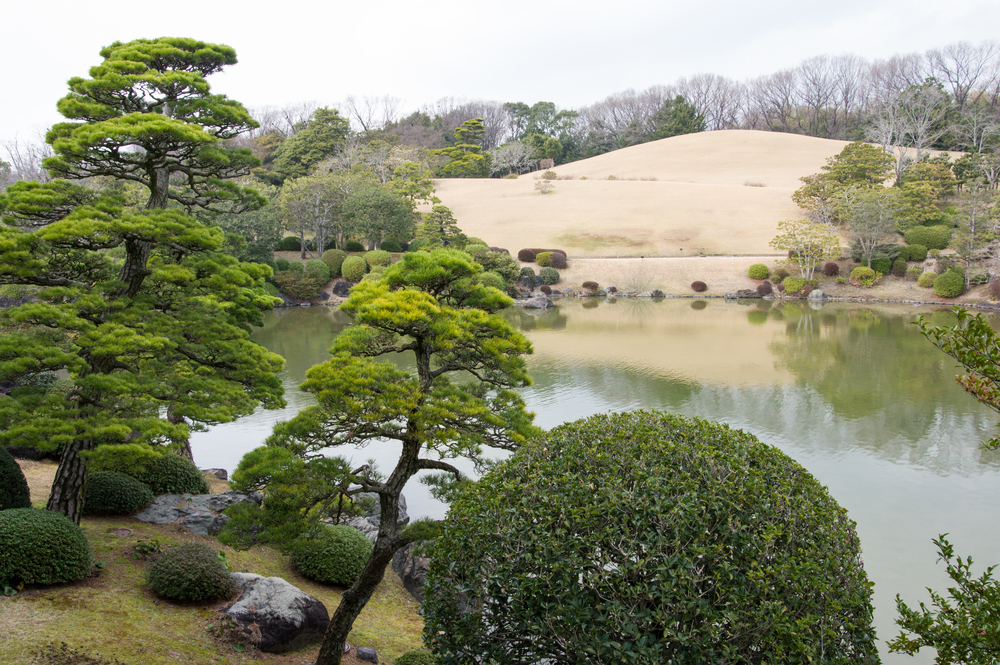 大阪 万博記念公園 入場Eチケット 予約