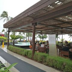 Flying Fish User Photo