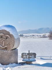 Shinei-no-Oka Observatory Park