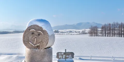 新榮之丘展望公園