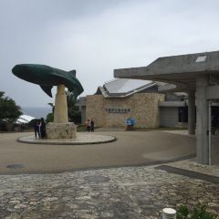 Inoh User Photo