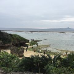 Inoh User Photo