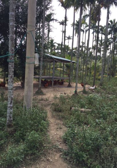 XINGLONG CHARACTERISTIC LEISURE FARM