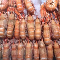 Fishmarket in Bergen User Photo