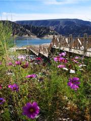 Longyang Lake