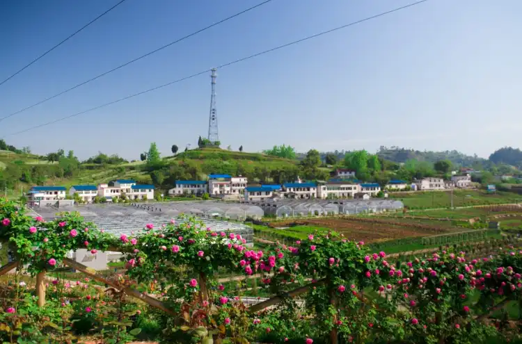 Khách sạn Shanshui S tại Tư Trung