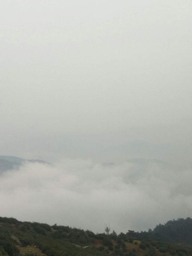 링산