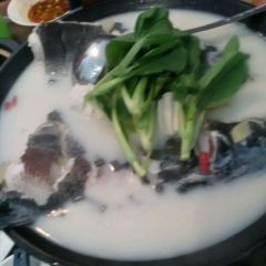 Qinglu User Photo