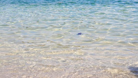 白良浜海滨浴场是合格线最大，而且最美的海滨浴场。这里海水湛蓝