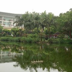Zhuhaishiwaitaoyuandujiajiudianzhong Restaurant User Photo