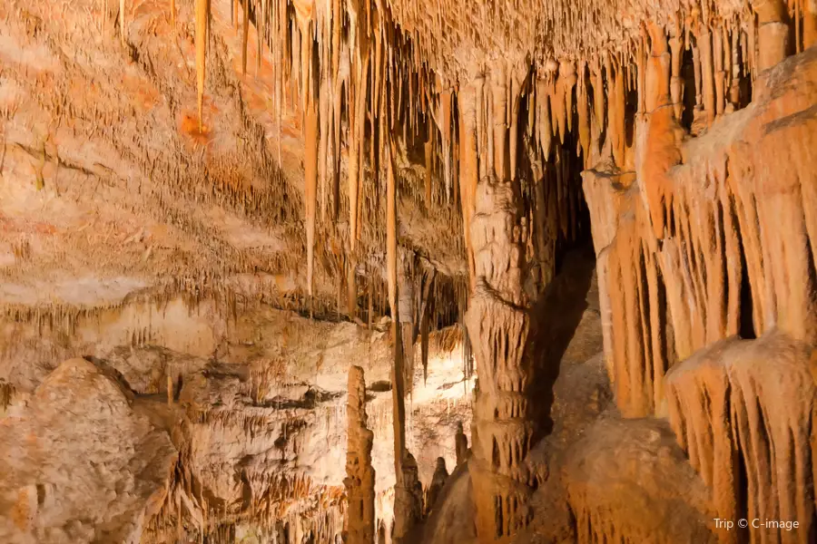 Cuevas del Drach